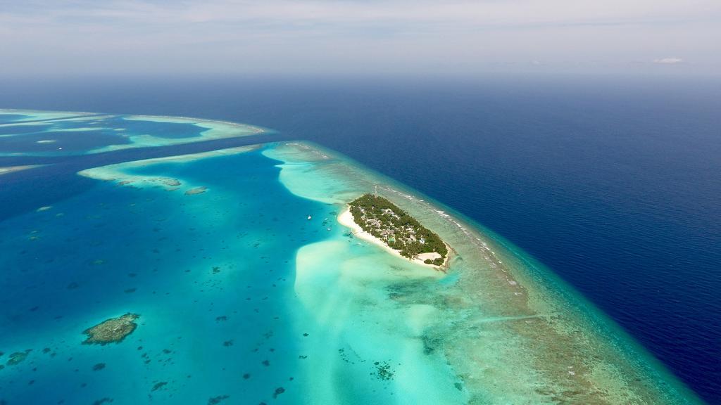 Luau Beach Inn, Maldives Fulidhoo Eksteriør billede