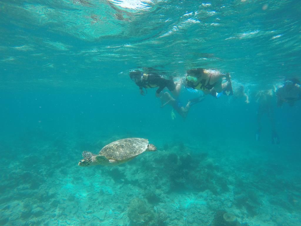 Luau Beach Inn, Maldives Fulidhoo Eksteriør billede
